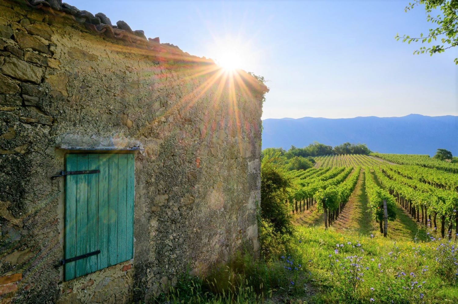 KNMtravel, DMC, Destino verde & seguro, Vipava