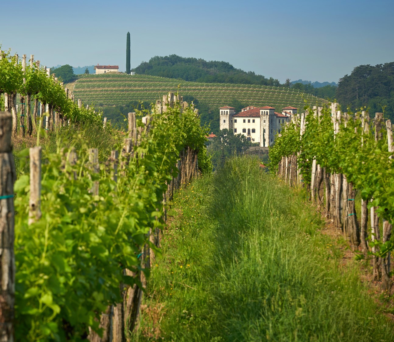 KNMtravel, Slovenia, Goriška Brda