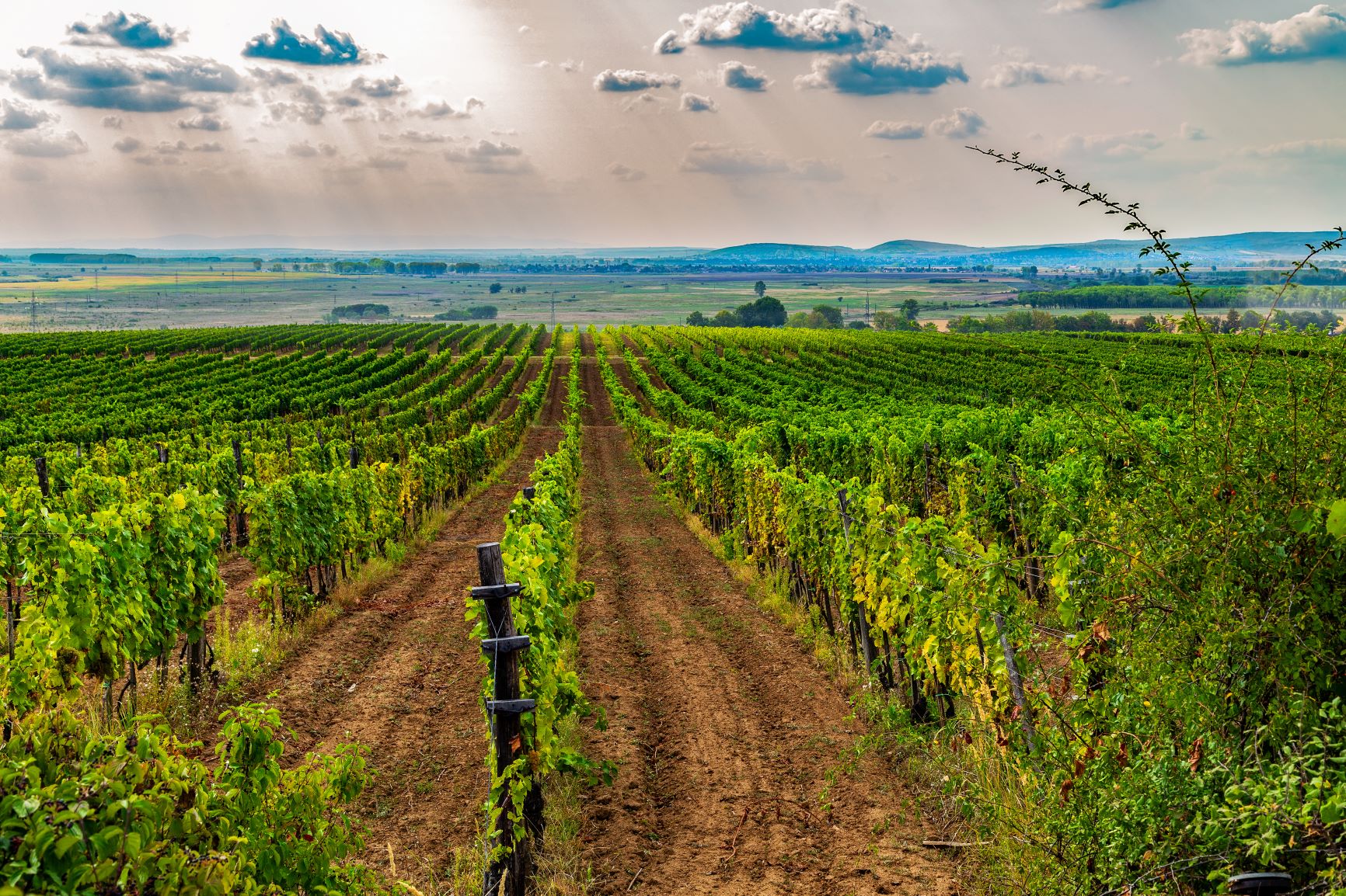 KNMtravel DMC, Hungary, Tokaj, wine tasting