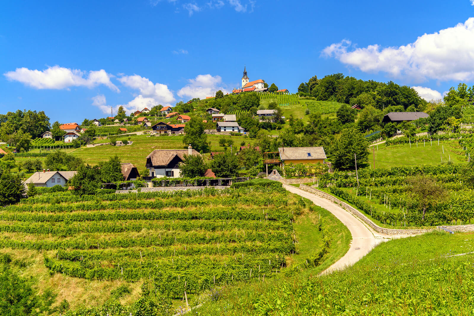 KNMtravel DMC, Dolenjska exclusive, Gourmet tour