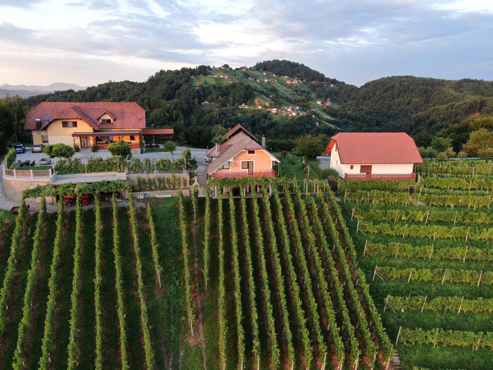 KNMtravel DMC, Cabañas de viñedo, Dolenjska, Eslovenia