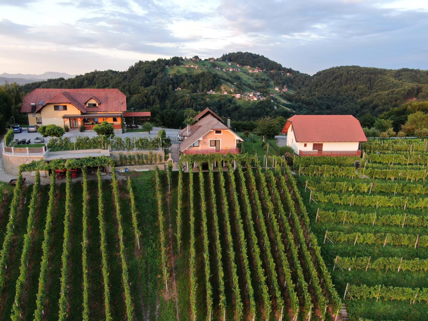 KNMtravel DMC, Vineyard cottages, Dolenjska, Slovenia