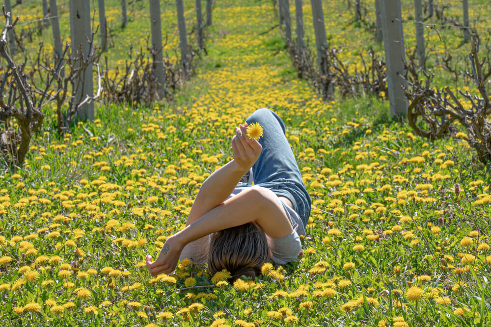 KNMtravel DMC, Vineyard cottages, Dolenjska, Slovenia